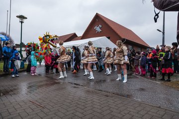 Bild 537 - Latuff 2017